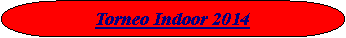 Interruzione: Torneo Indoor 2014