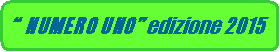 Rettangolo arrotondato:   NUMERO UNO edizione 2015