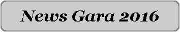 Rettangolo arrotondato: News Gara 2016